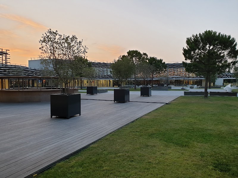 Chauffeur VTC Airbus Skyline Hotel, Blagnac — SSINT VTC Toulouse