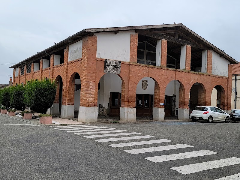 Cadours (31480) Haute-Garonne — VTC Tesla Model 3 SSINT, chauffeur privé bourg rural Pays Savès
