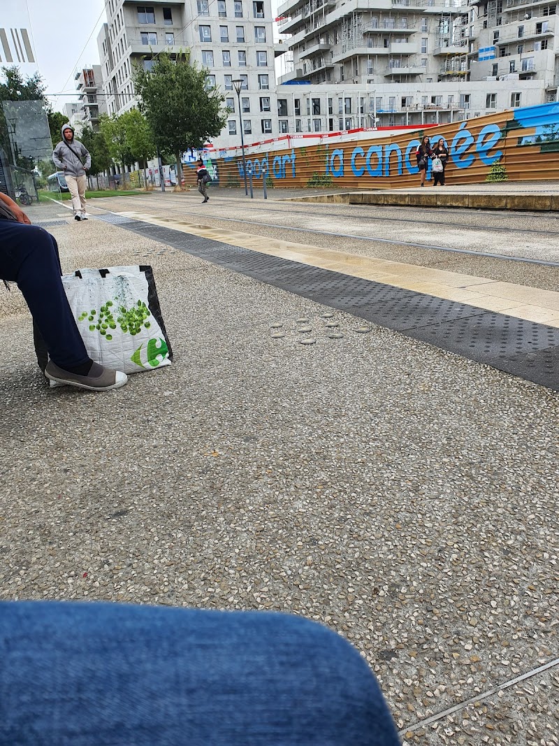 Casselardit quartier résidentiel Toulouse ouest — VTC Tesla Model 3 SSINT, proche aéroport CHU Purpan