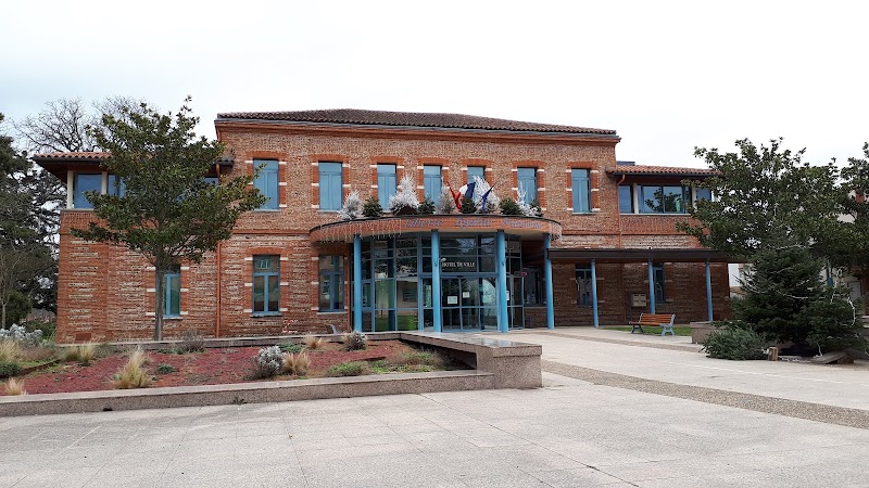 Castanet-Tolosan (31320) Haute-Garonne — VTC Tesla Model 3 SSINT, commune résidentielle sud-est Toulouse