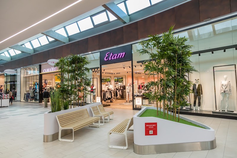 Centre commercial Fenouillet Auchan nord Toulouse — VTC Tesla Model 3 SSINT, proche Saint-Jory A62