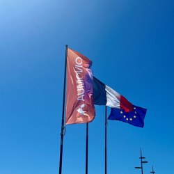 Hôtel Continental Toulouse centre-ville — VTC Tesla Model 3 SSINT, navette hôtel aéroport gare
