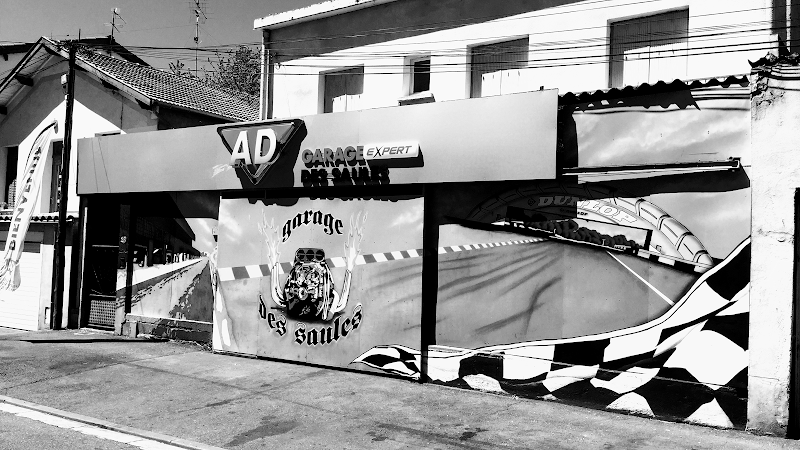 Chauffeur VTC AD Garage Expert Des Saules Toulouse — SSINT VTC Toulouse