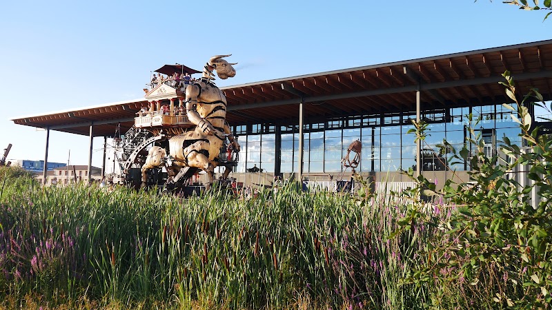 Chauffeur VTC Halle de la Machine — SSINT VTC Toulouse