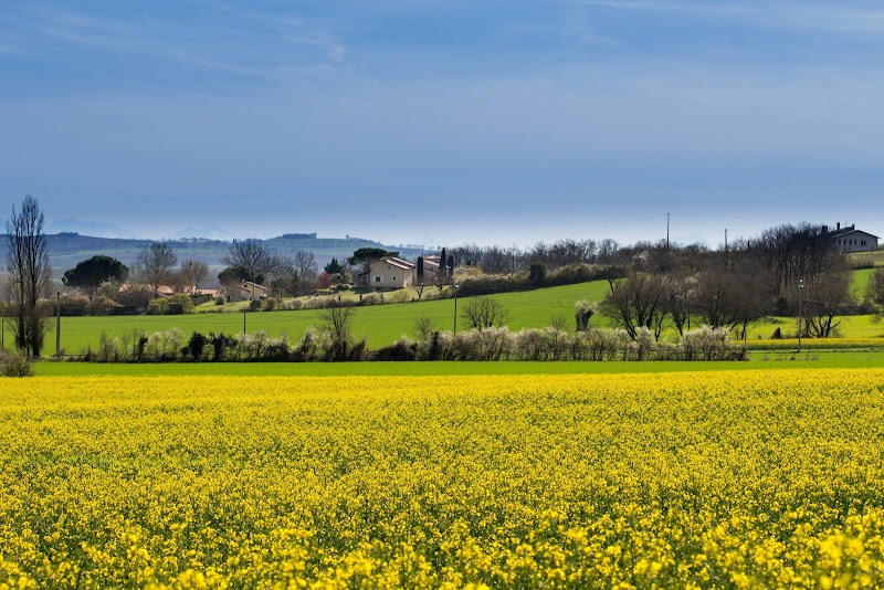Chauffeur VTC Lévignac — SSINT VTC Toulouse
