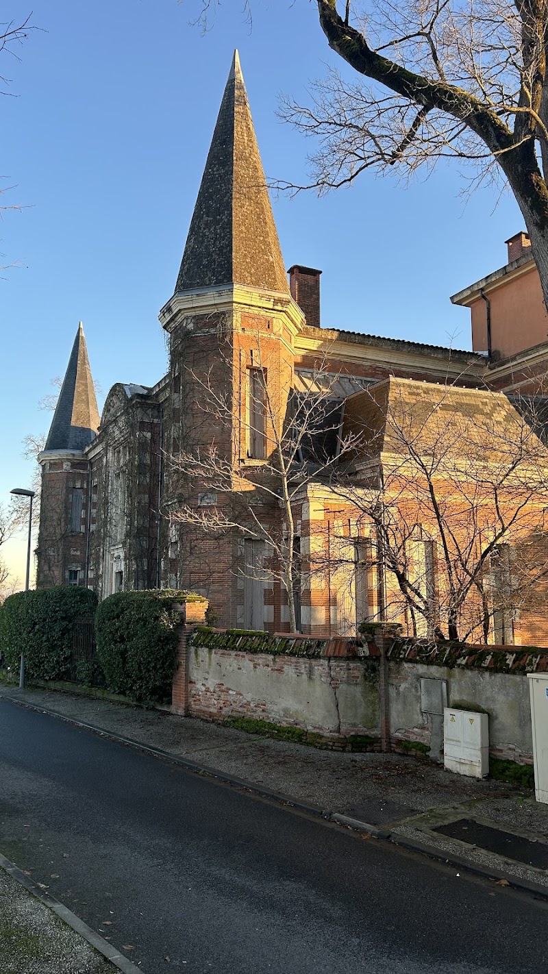 Chauffeur VTC Montastruc-la-Conseillère — SSINT VTC Toulouse