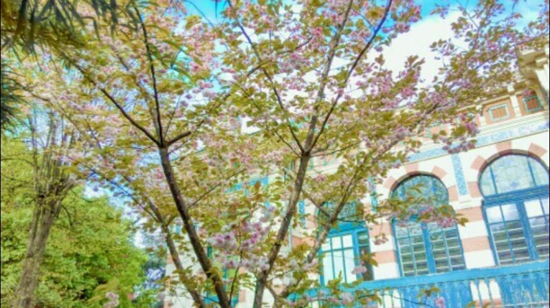 Chauffeur VTC Musée Georges Labit — SSINT VTC Toulouse