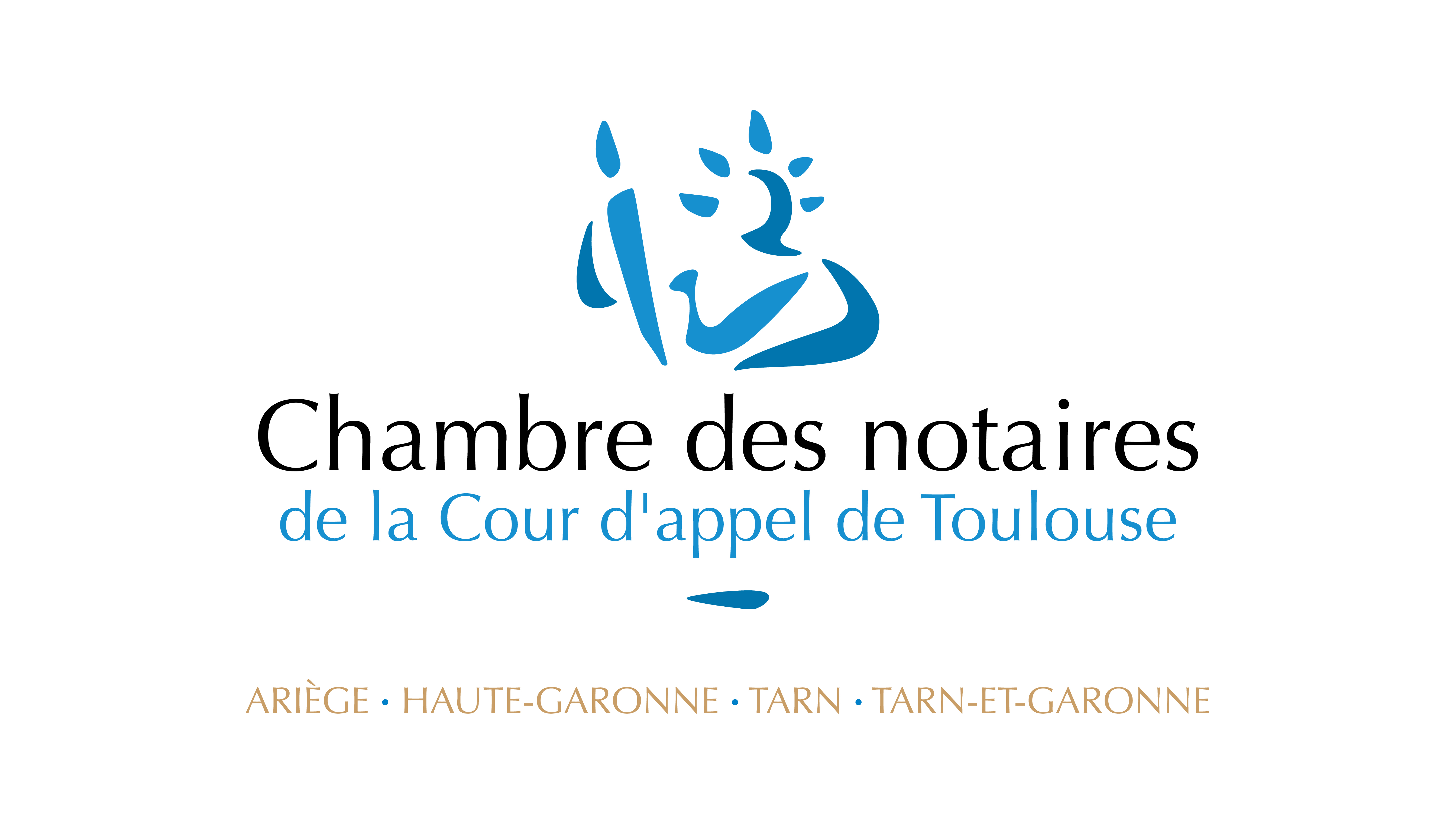 Chauffeur VTC Notaires Toulouse — SSINT VTC Toulouse