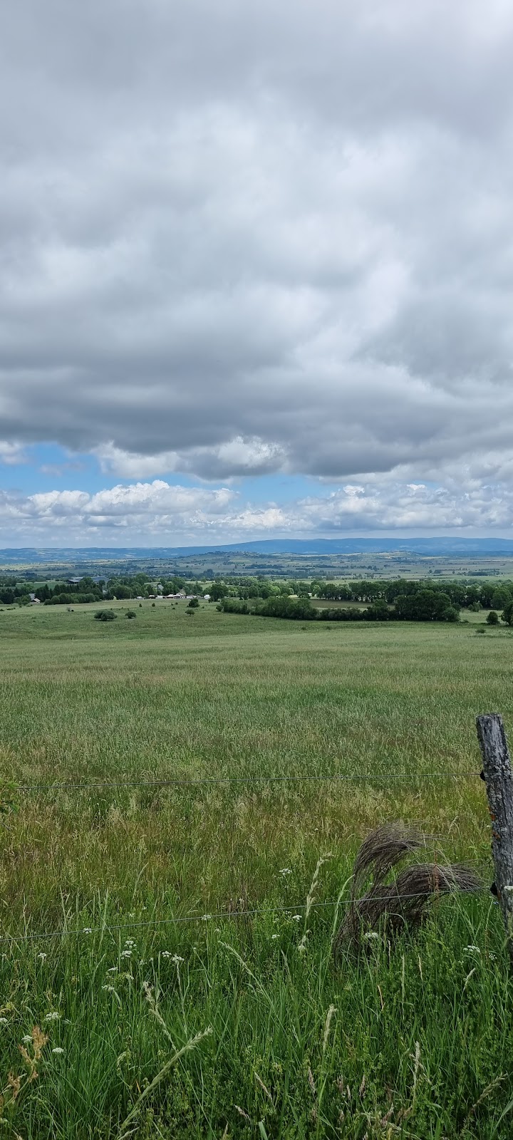 Chauffeur VTC Paulhac — SSINT VTC Toulouse