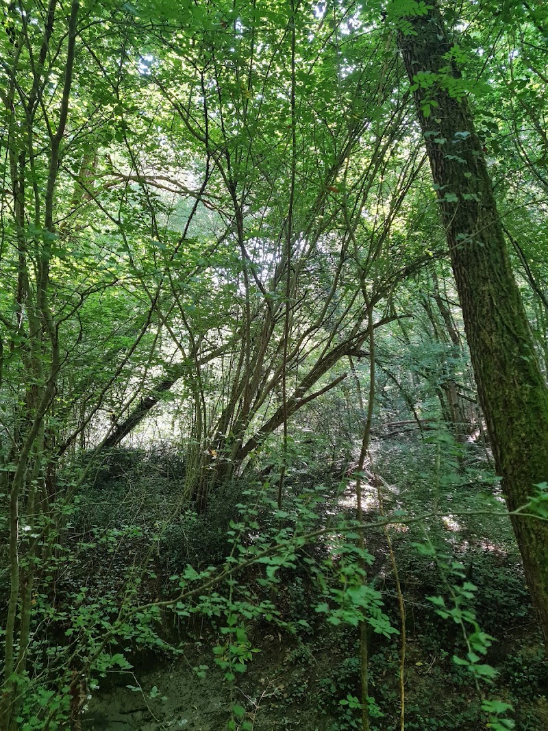 Chauffeur VTC Pechbonnieu — SSINT VTC Toulouse