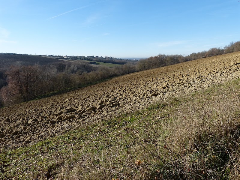 Chauffeur VTC Péchbusque — SSINT VTC Toulouse