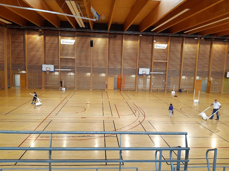 Chauffeur VTC Stade Le Fobio Montauban — SSINT VTC Toulouse