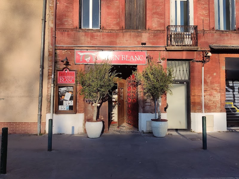 Chauffeur VTC Théâtre du Chien Blanc, Toulouse — SSINT VTC Toulouse