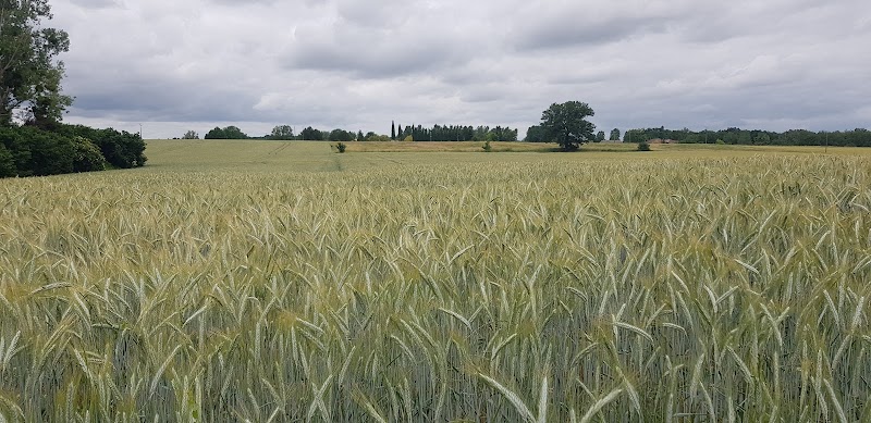 Chauffeur VTC Villeneuve-lès-Bouloc — SSINT VTC Toulouse