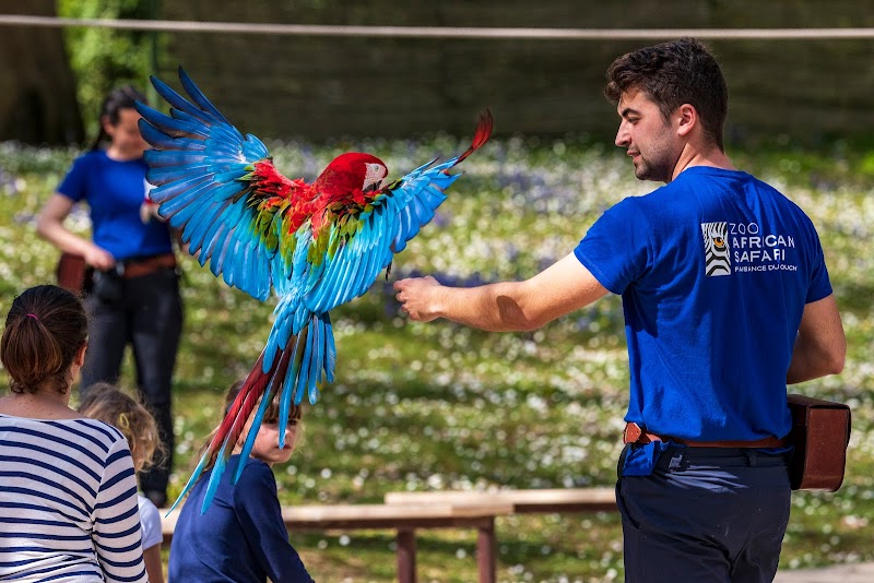 Chauffeur VTC Zoo Plaisance-du-Touch — SSINT VTC Toulouse